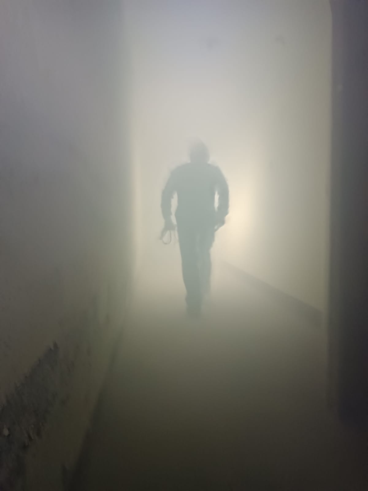 Entraînement cynotechnique dans un bâtiment