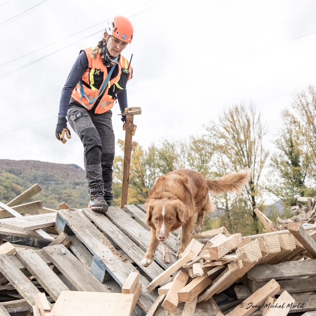 Mohée et Swat en recherche sur un site de travaux